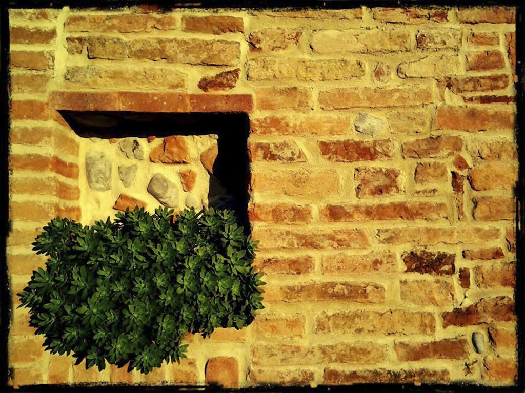 B&B Al Castello Fabro Dış mekan fotoğraf